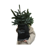Untitled1318 20241128214058