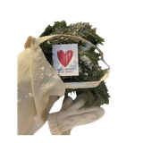 Untitled1318 20241128212126