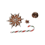 Untitled1639 20251122064625