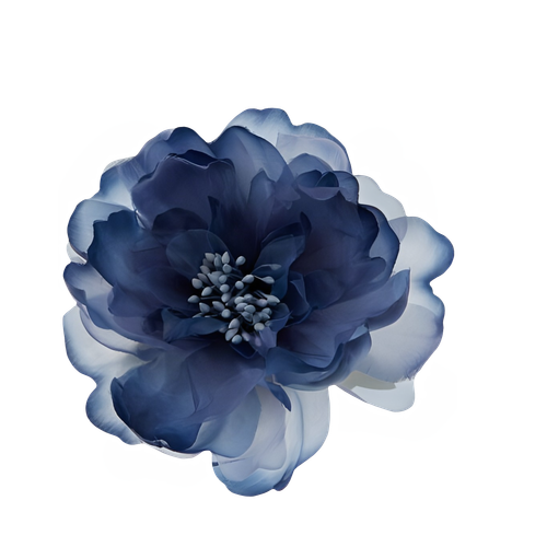 Untitled1111 20240607215511.png