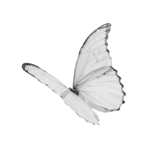 IMG 2003.png