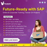Upgrade your SAP expertise in 2025 with Visualpath