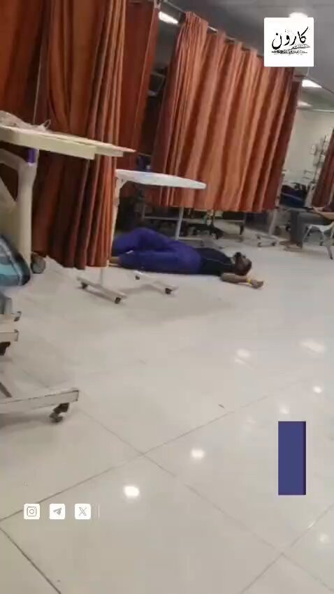 y5nCWtUiiXN PWZP.jpg
