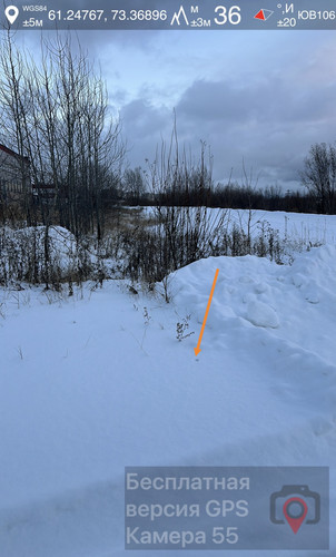 IMG 7420.jpg