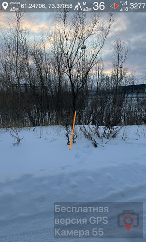 IMG 7419.jpg