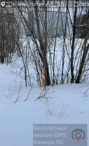 IMG 7428.jpg