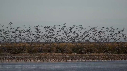 GyTbQOpTy23pg 7x.jpg