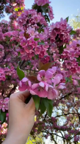 4kGiXH5ZDQ0K3Hv .jpg