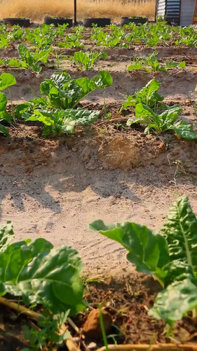 Z9Zt2Wfa 0ApxL1 .jpg