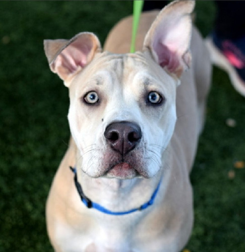 G4xMRDHW4AAT kc?format=jpg.jpg