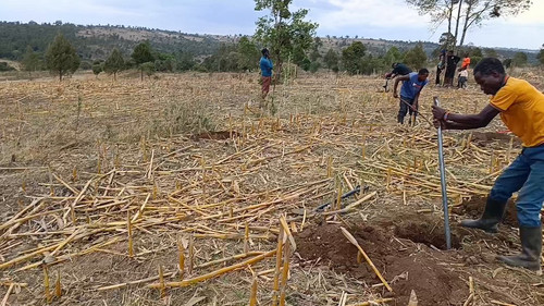 b8yFi6DLvu2oh 5i.jpg