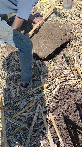 5YkU agvnuOKxjkB.jpg