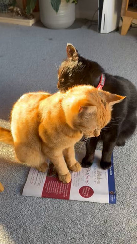 LybTOqWfXp3Pw JQ.jpg