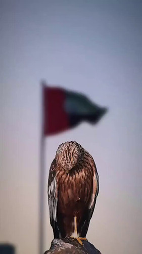 y3N8TmeJGwSEHG 5.jpg