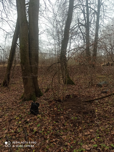 IMG 20251201 151012.jpg