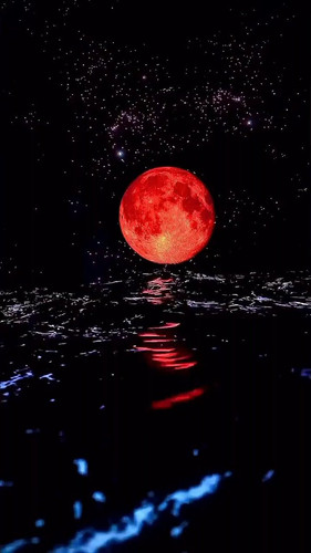 cJ8nY00TONdaLA Q.jpg