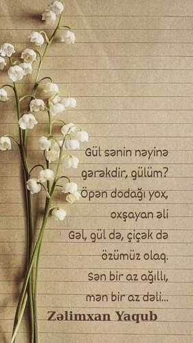 VZJjTpWfMTdY WSb.jpg