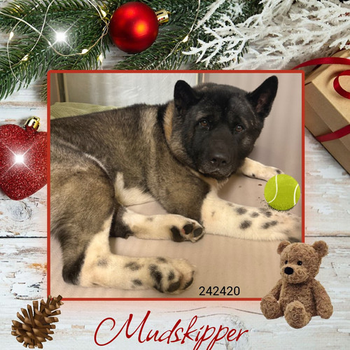 G7BY Udb0AEMzp4?format=jpg.jpg