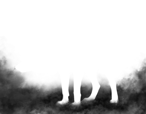 Smoke CD Sentinel 640x500.png