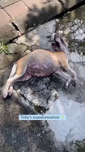 gHkWOr4R SOOf AG.jpg