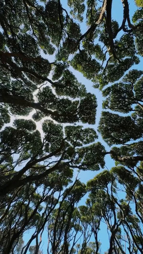 LVJUOht9y i8QfQM.jpg