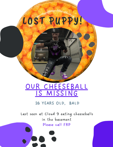 Blue and Orange Organic Shapes Lost Cat Flyer (1).png