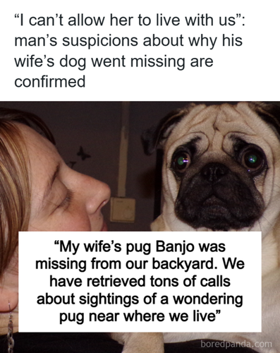 stolen dog family drama 720.2