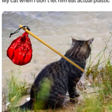 1c000e13 0033 4d8a 9388 a8adaa71b1aa.png