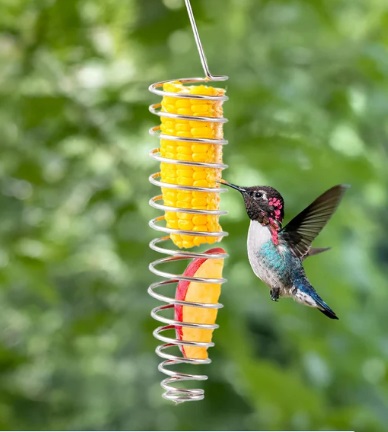 Best Bird Feeders For Small Birds.jpg