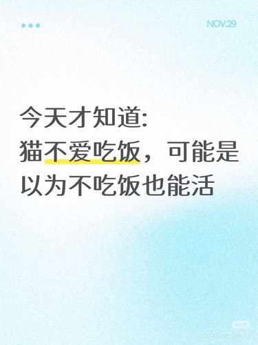IMG 2019.1