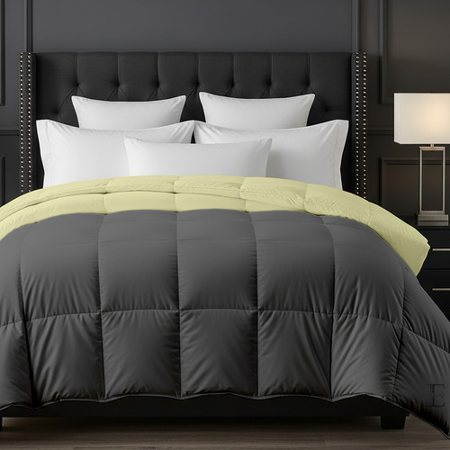 Ivory D Grey (1).jpg