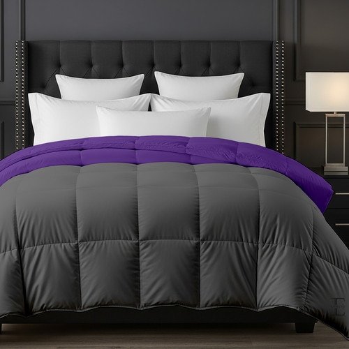 Purple D Grey (1).jpg