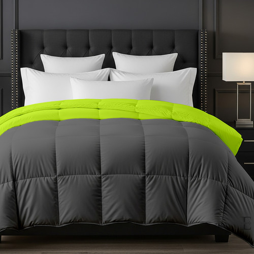 Parrot D Grey (1).jpg