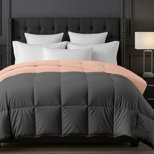 Peach D Grey (1).jpg