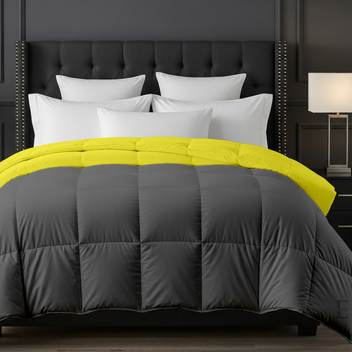 Venilla D Grey (1).jpg