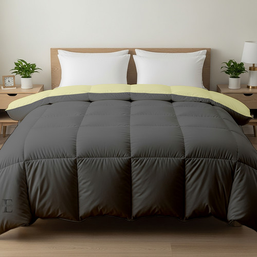 Ivory D Grey (8).jpg