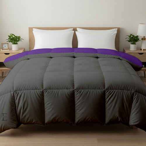 Purple D Grey (8).jpg