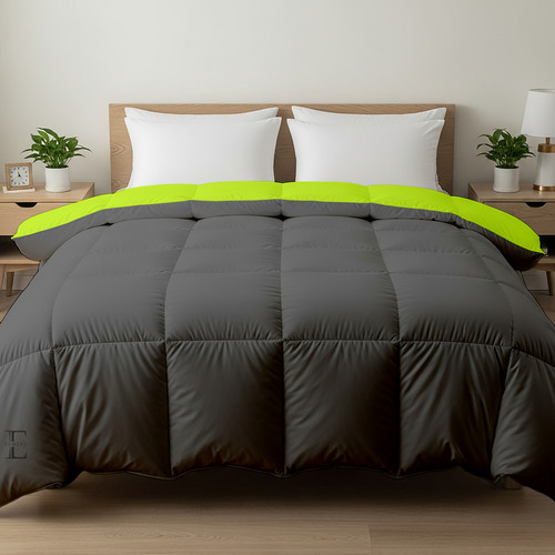 Parrot D Grey (8).jpg