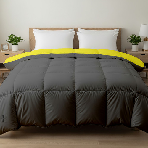 Venilla D Grey (8).jpg