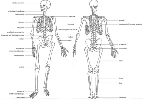 7a5555c69266.png