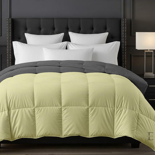 Ivory D Grey (2).jpg