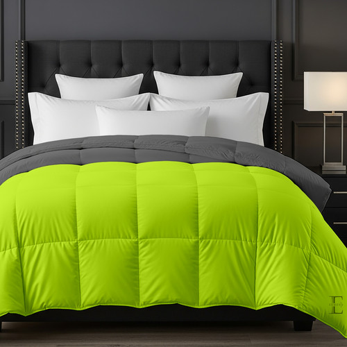 Parrot D Grey (2).jpg