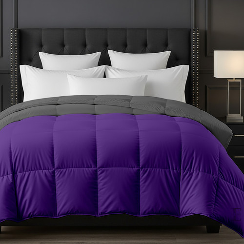 Purple D Grey (2).jpg