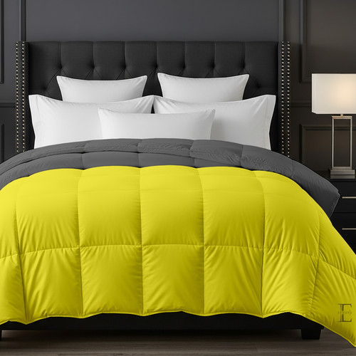 Venilla D Grey (2).jpg