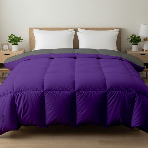 Purple D Grey (7).jpg