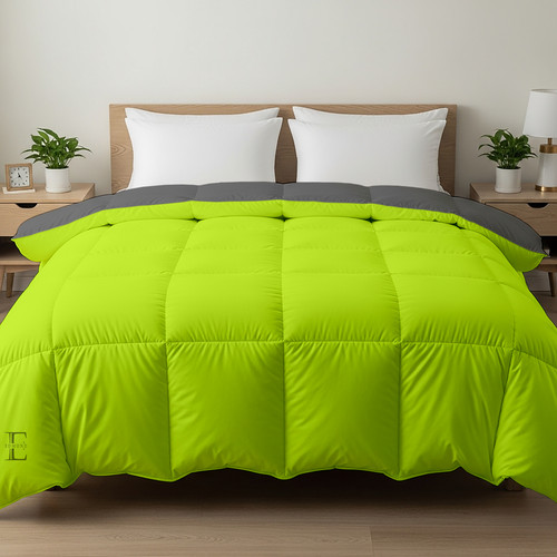 Parrot D Grey (7).jpg