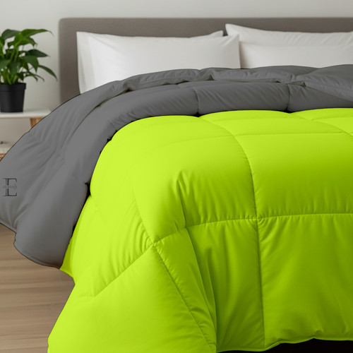 Parrot D Grey (9).jpg