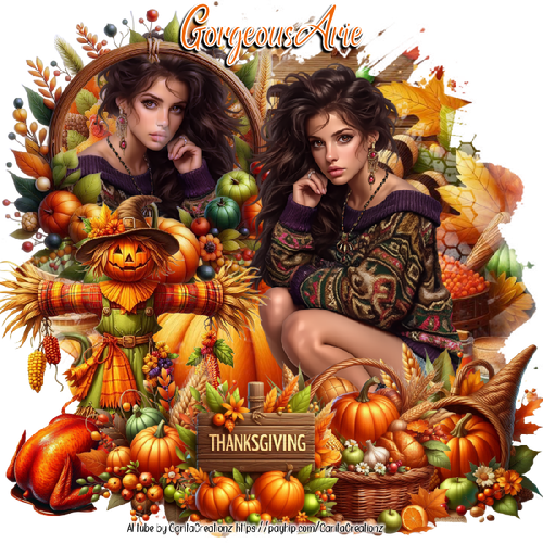 GorgeousArieThanksgiving1aMC vi