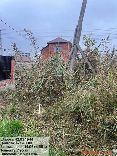 photo 4 2025 12 01 05 15 34.jpg