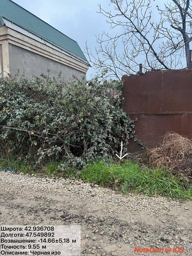 photo 2 2025 12 01 05 15 34.jpg